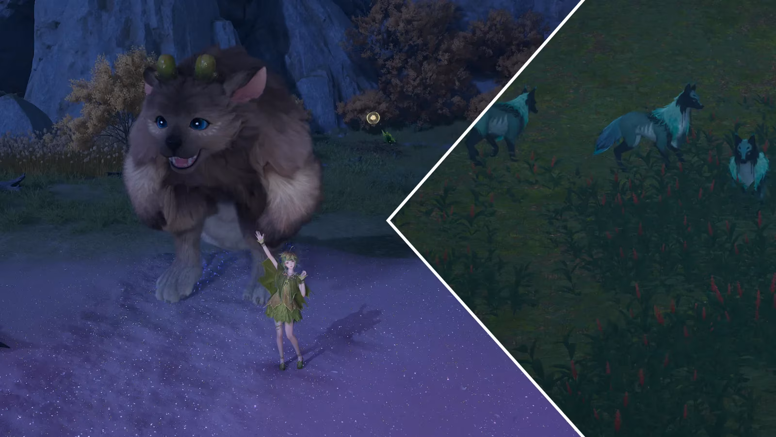 infinity-nikki-a-complete-guide-to-finding-and-grooming-all-22-animals-in-itzaland-image-0